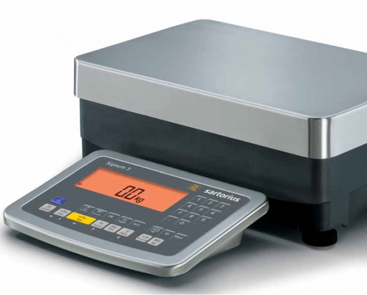 Industrial Scales & Balances Rochester Scale Works